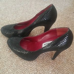 Steve Madden "Bogarrt" Black Leather Snake Print